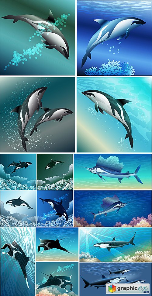 Sea animals on underwater backgrounds