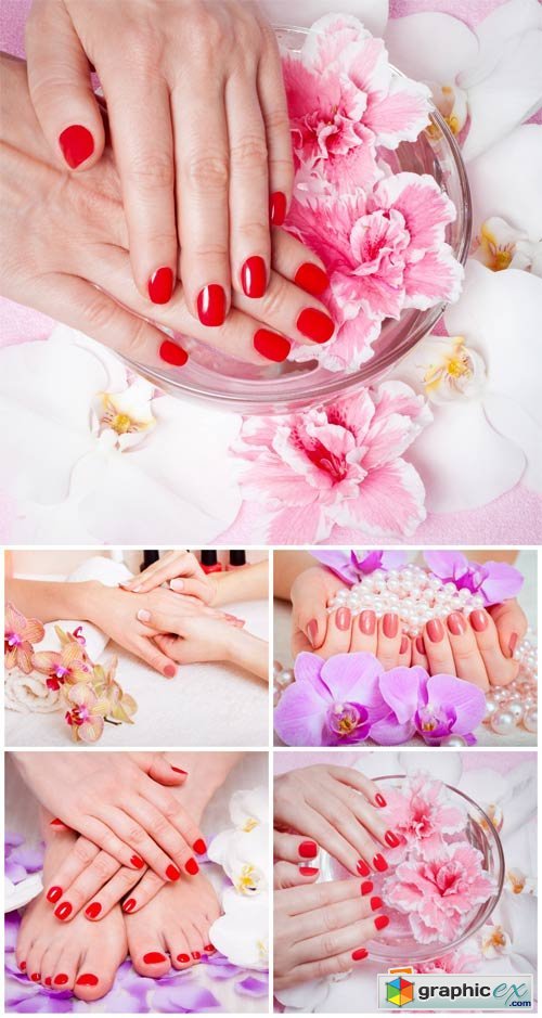 Manicure and pedicure, woman's hands and feet - Stock photo