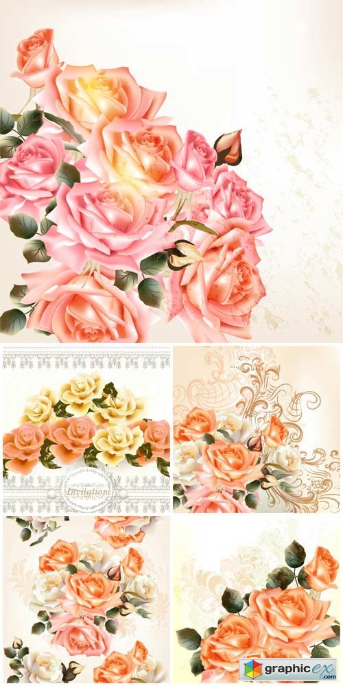 Roses, beautiful background with flowers vector
