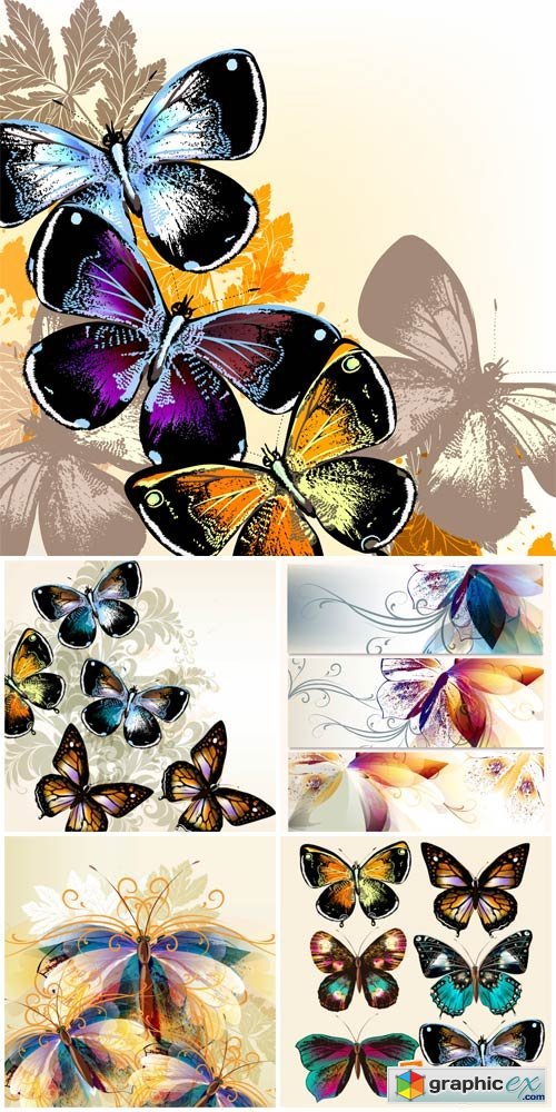 Butterflies, backgrounds and banners vector