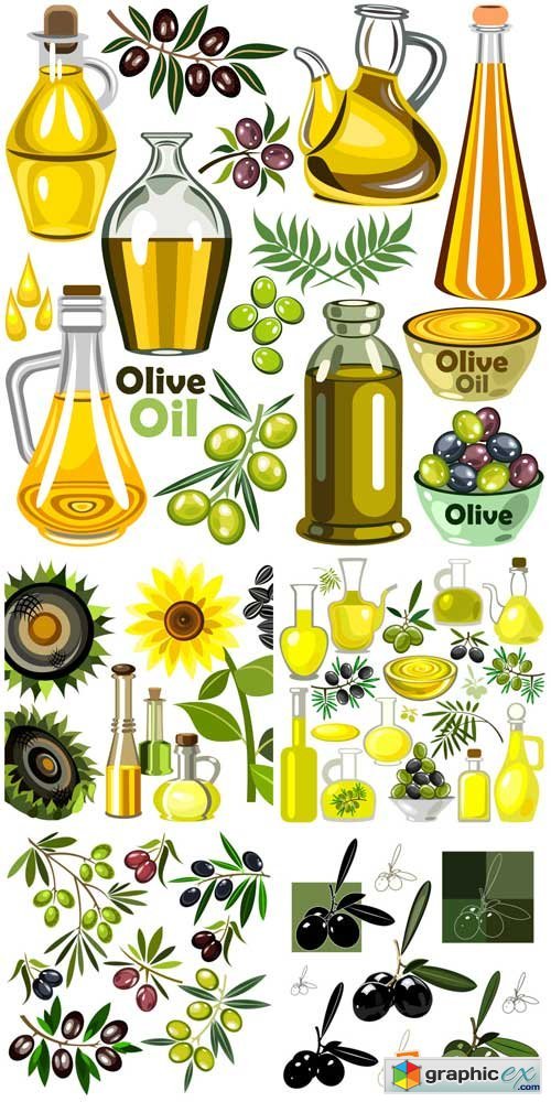 Olives, olive oil vector