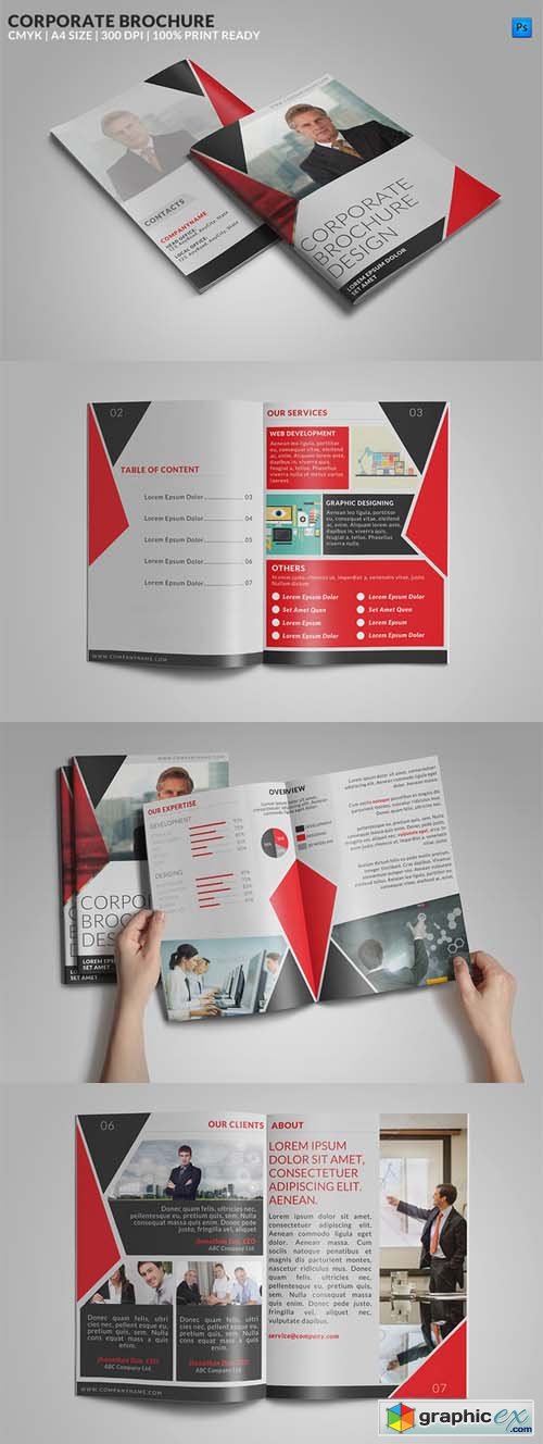 8 Page Corporate Bifold Brochure