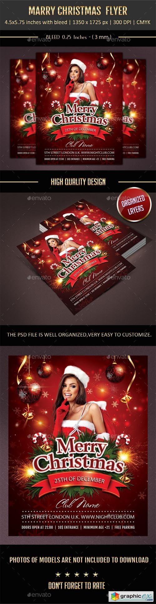 Merry Christmas Flyer 9648780