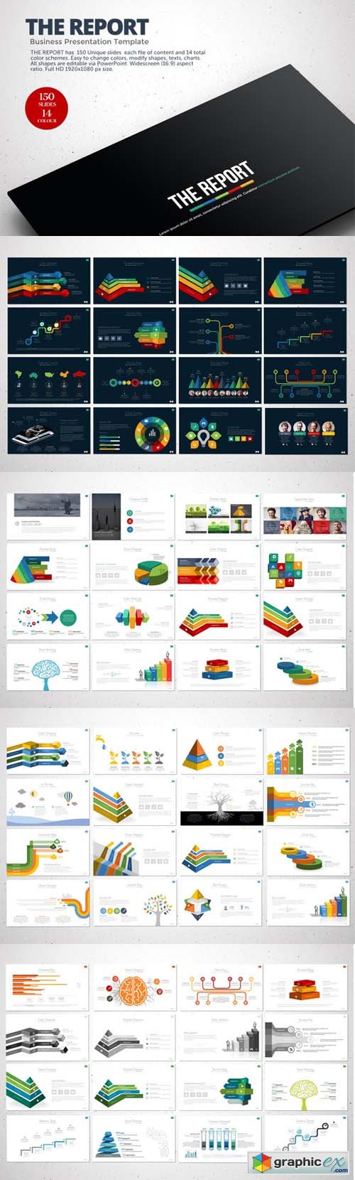 The Report Powerpoint Template