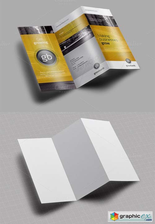 Tri Fold / Brochure / Mock-Up 1