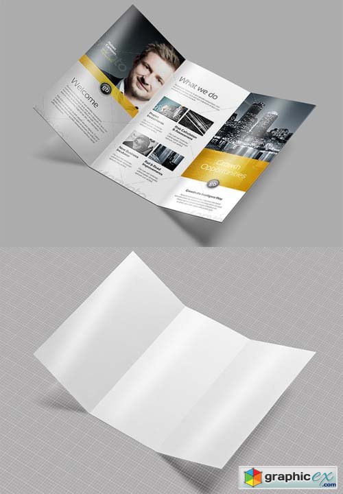Tri Fold / Brochure / Mock-Up 2