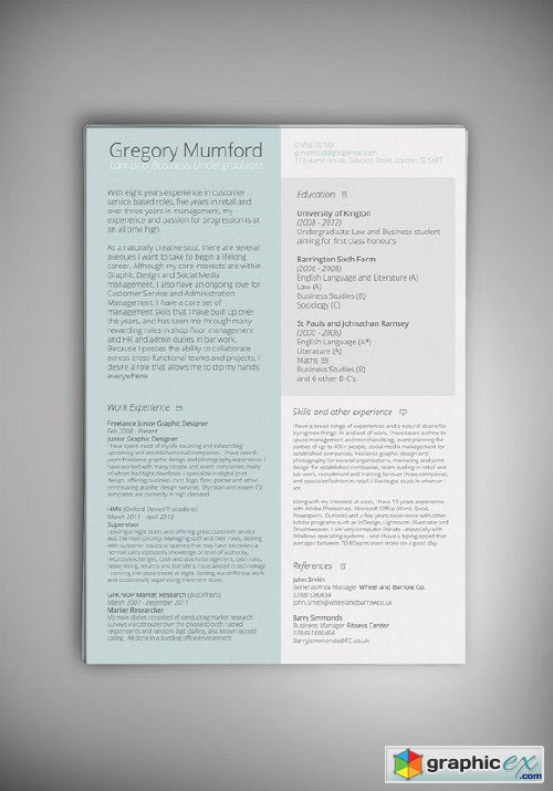 MINT CV/Resume
