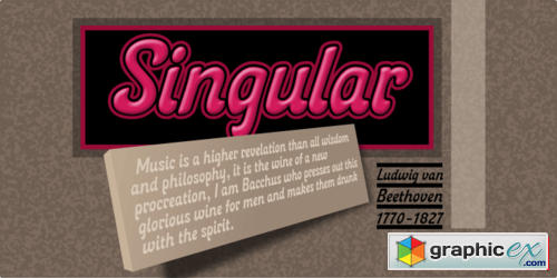 Singular Font Family $45