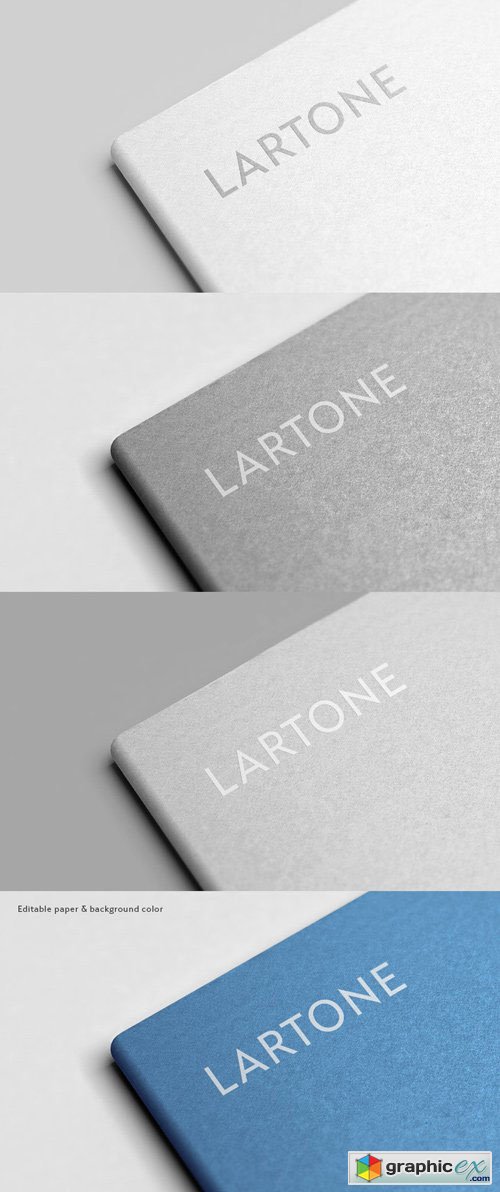 Logo - Gray And Corporate