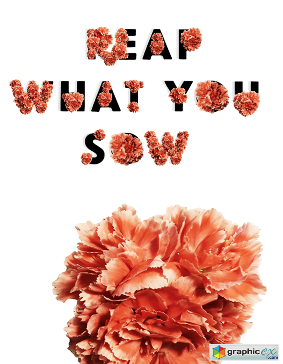  Reap What You Sow Flowers
