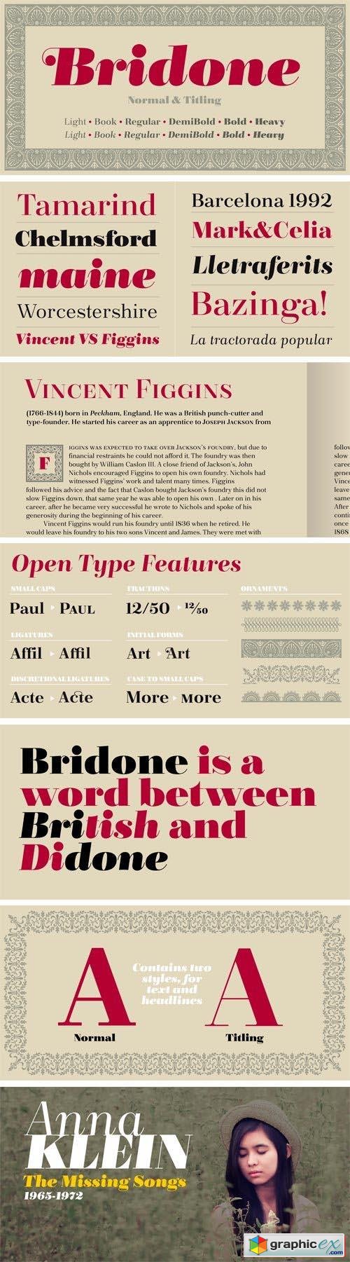 Bridone Font Family - 24 Fonts for $142