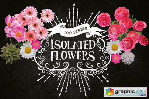 100 Isolated Flower Chalk Kit