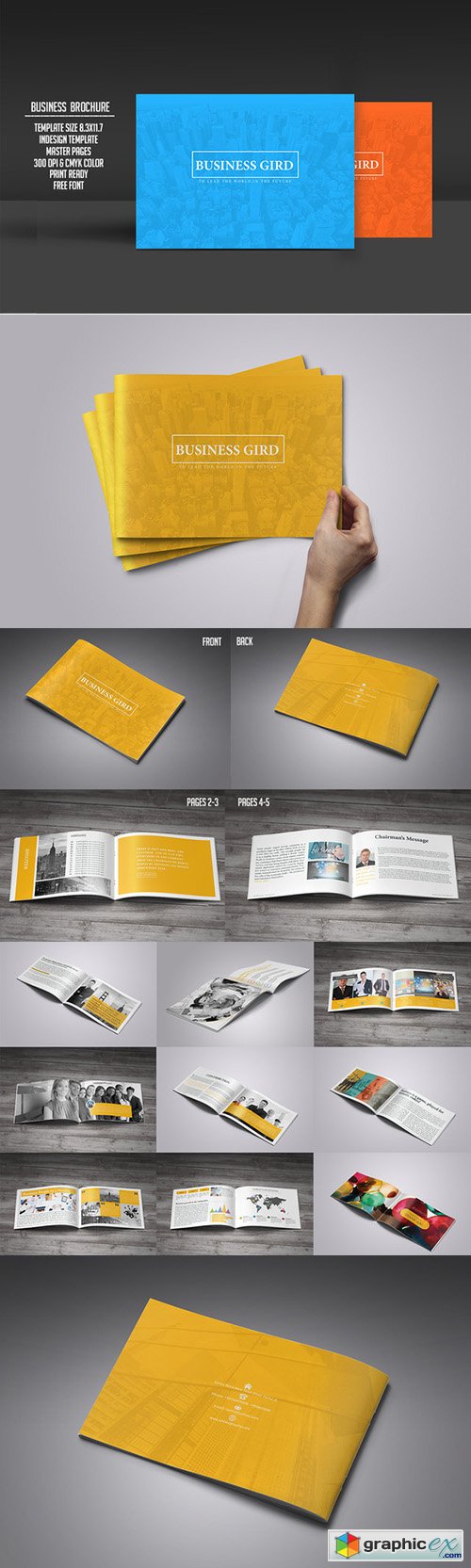  Business Plan Brochure 24 Pages
