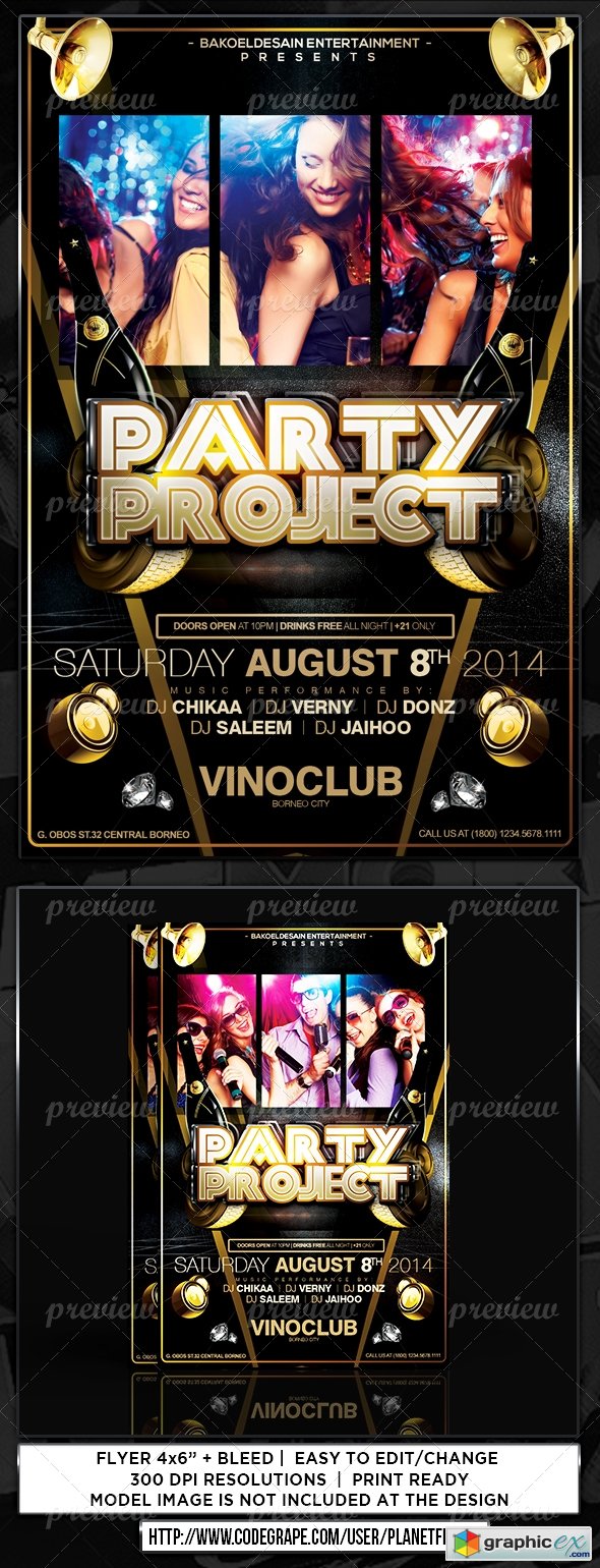 Party Project Flyer