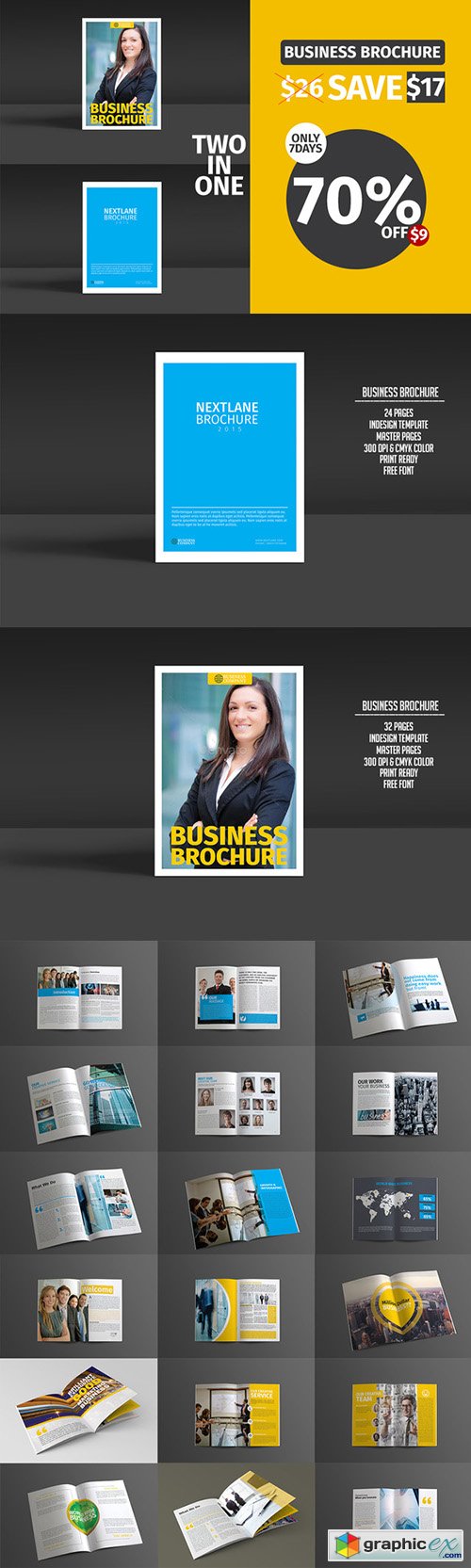  Business Brochure Bundle