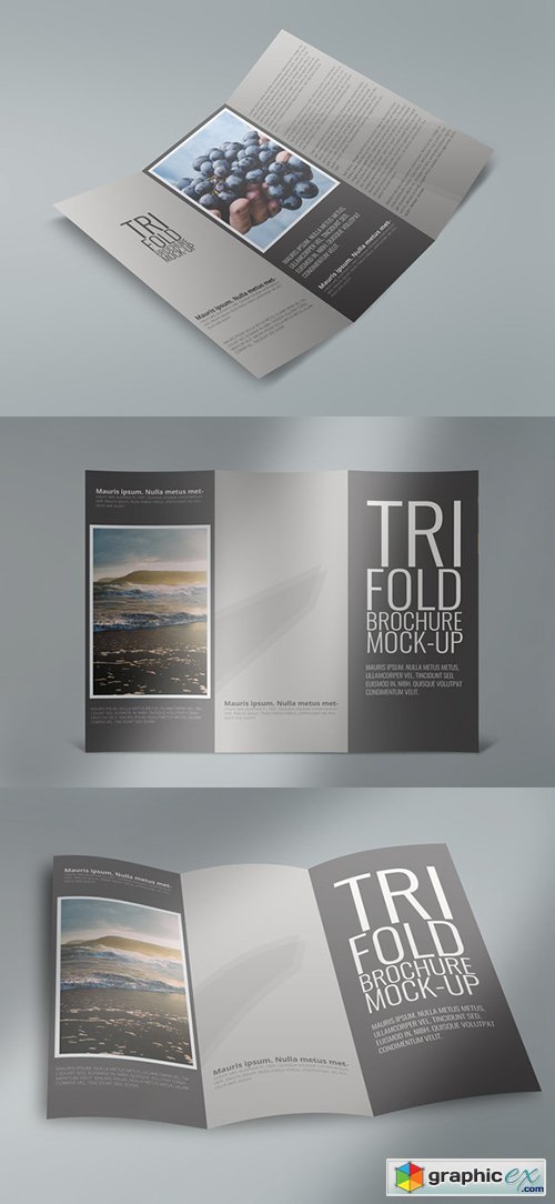  Tri-Fold Brochure Mock Ups
