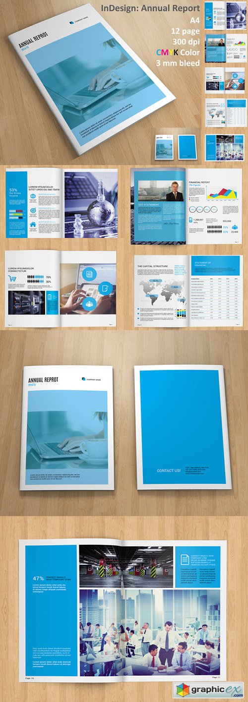  InDesign: Annual Report