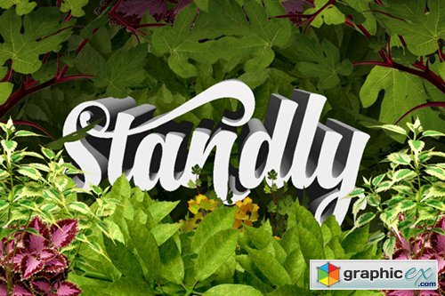 Standly Font Family