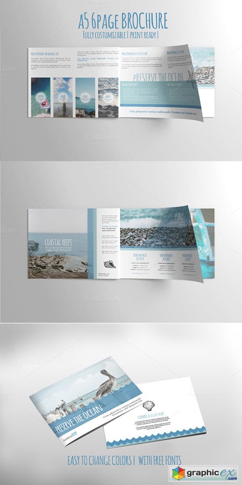 A5 6PAGE Preserve the Ocean Brochure