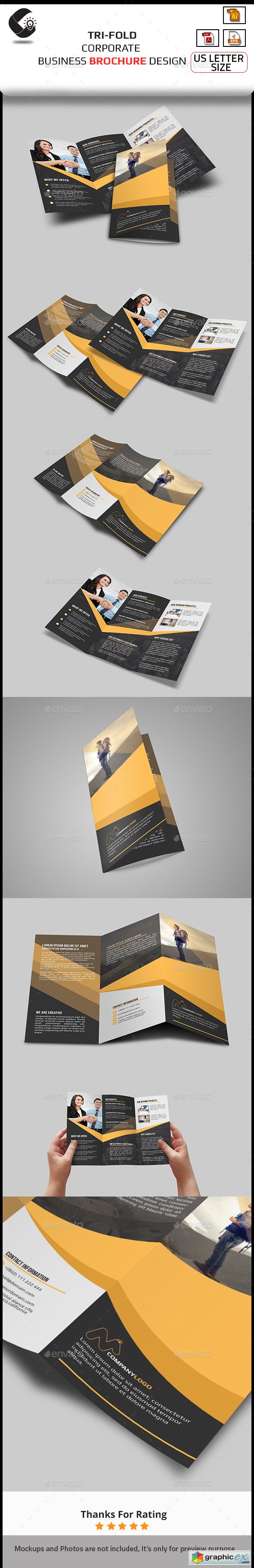 Tri-Fold Brochure- Multipurpose