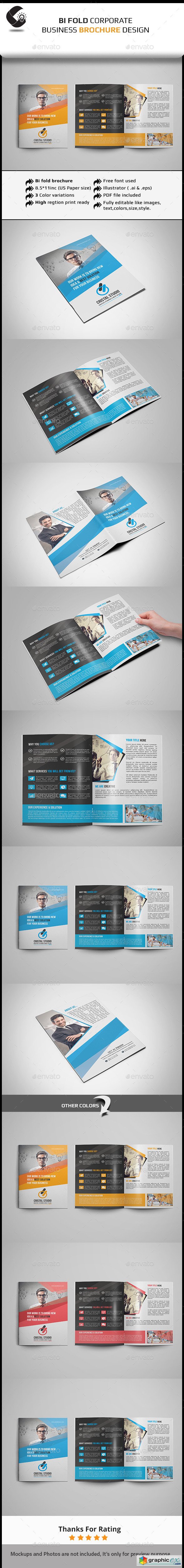 Bi Fold Brochure -  11531886