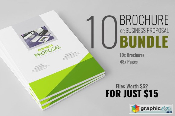 Brochure or Business Proposal Bundle