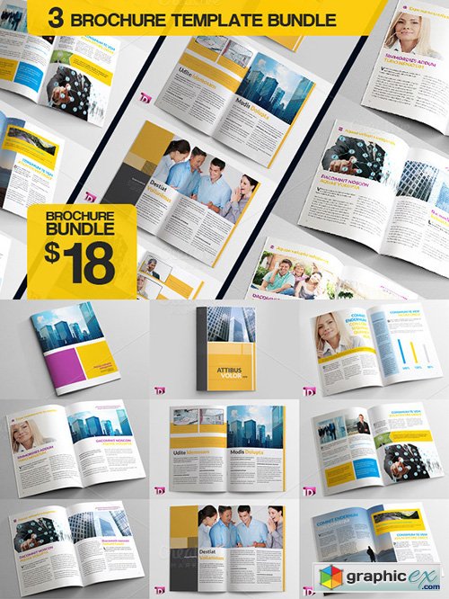 Brochure Bundle-2