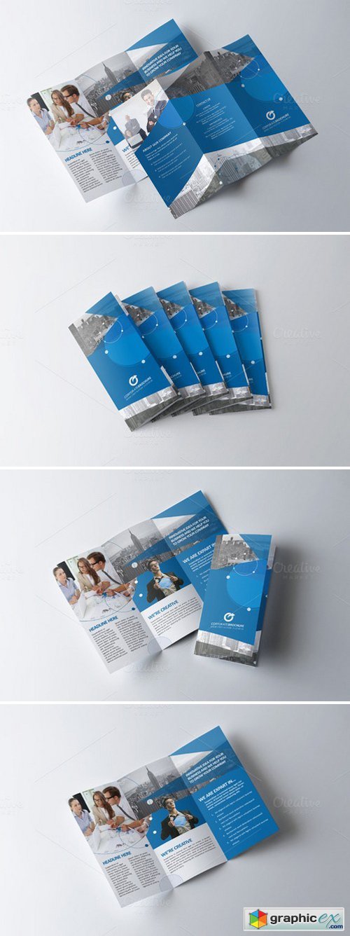 Tri-Fold Brochure-Multipurpose 342357