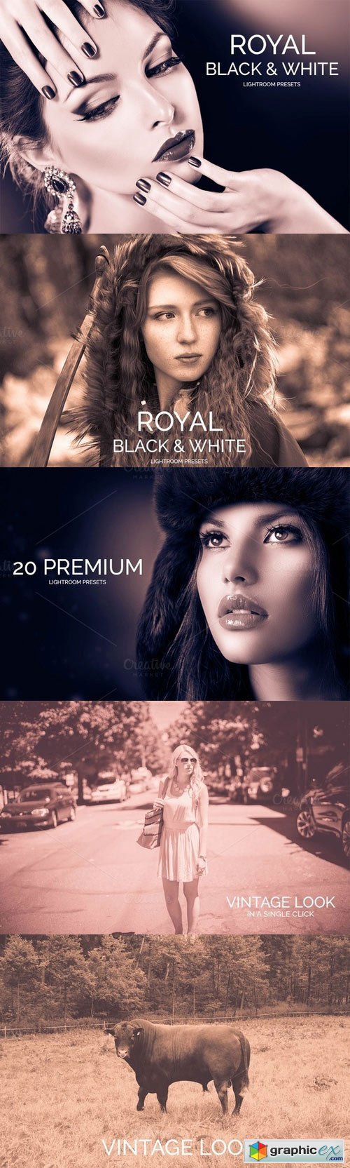 Royal Black&White Lightroom Presets