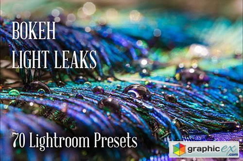 70 Bokeh/Light Leaks Lr Presets