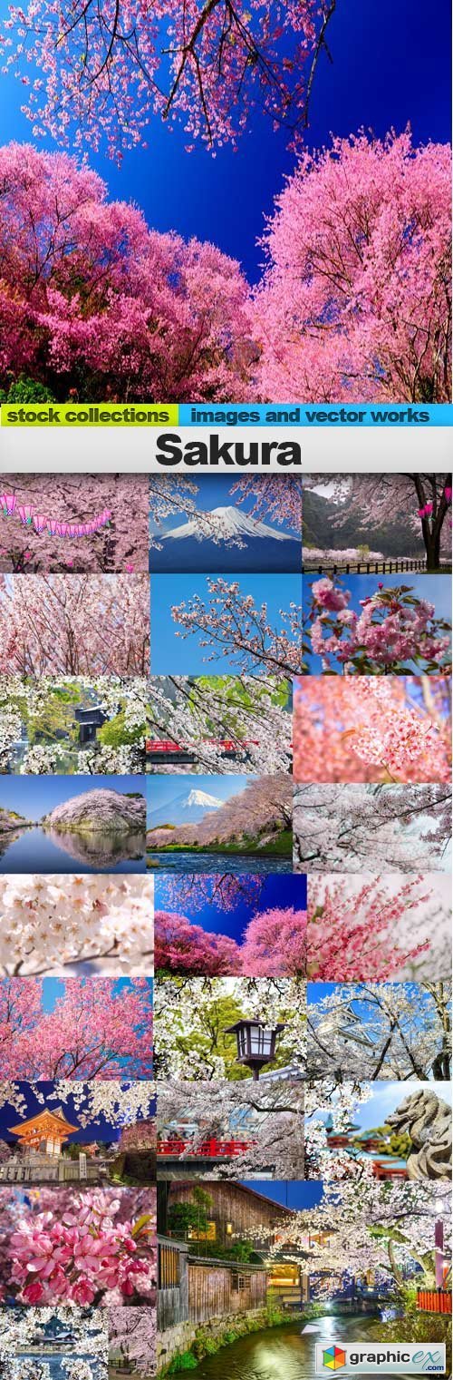 Sakura,25 x UHQ JPEG