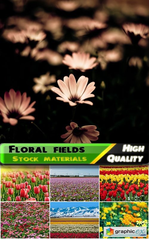 Floral fields and beautiful nature landscapes - 25 HQ Jpg