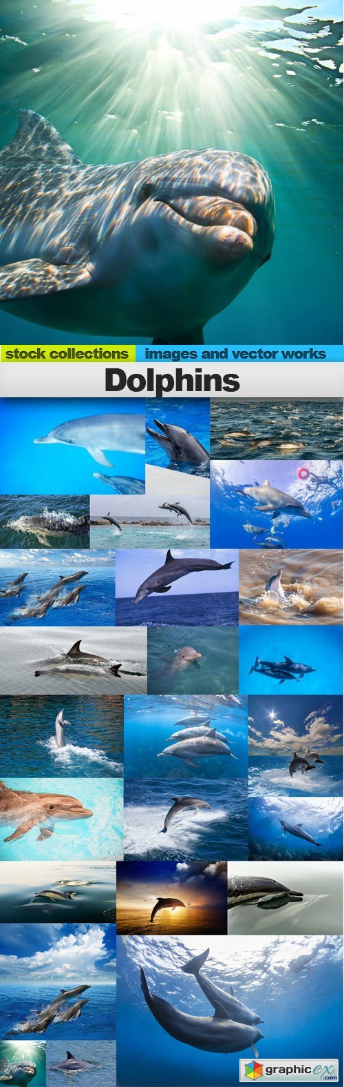 Dolphins,25 x UHQ JPEG