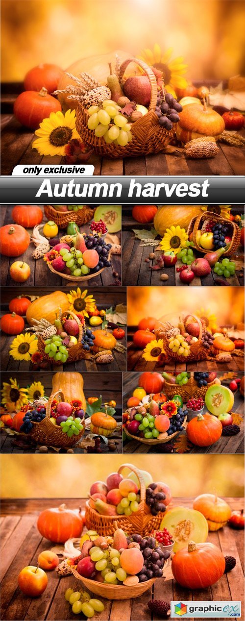 Autumn harvest - 7 UHQ JPEG