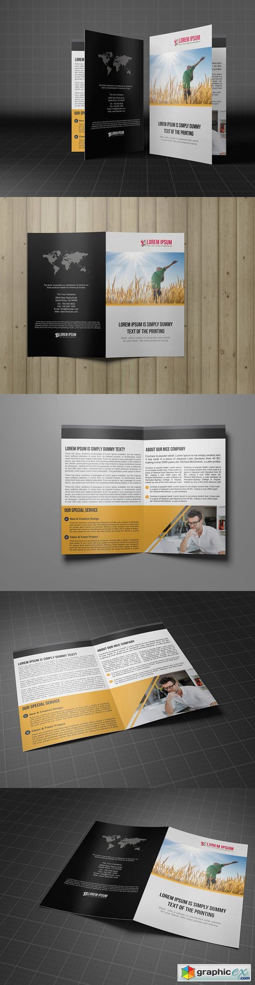 Bifold Template Business Brochure 222509