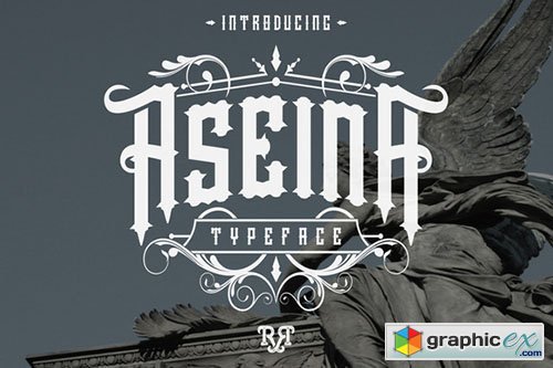 Aseina Typeface + Bonus (introsale)
