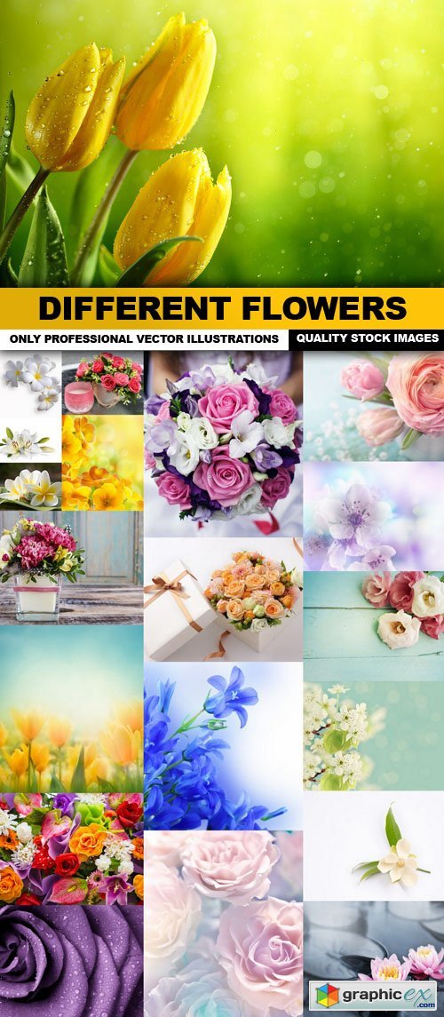 Different Flowers - 20 HQ Images