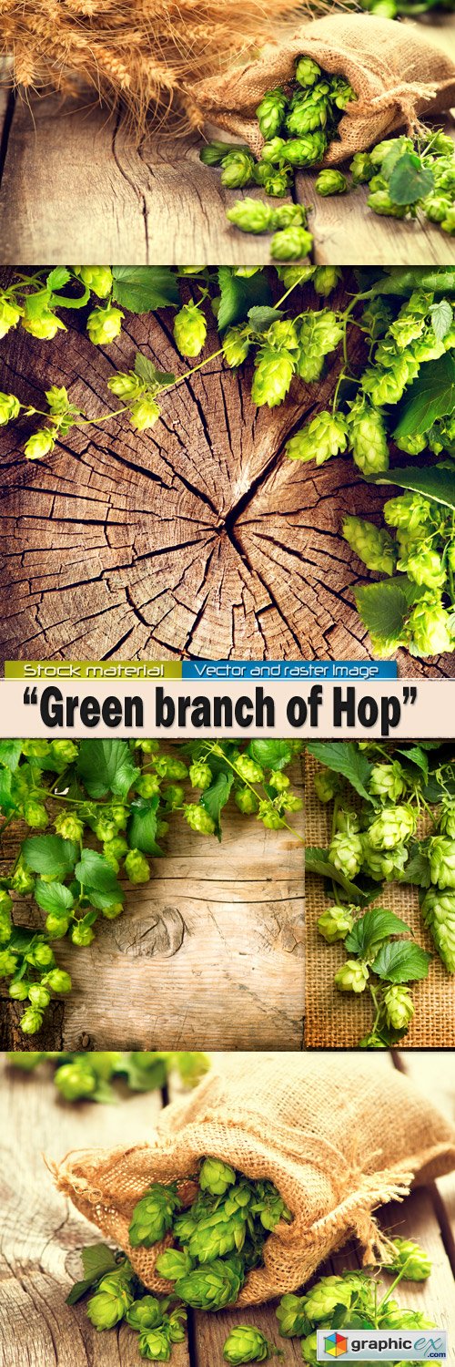 Green branch of hop against a tree