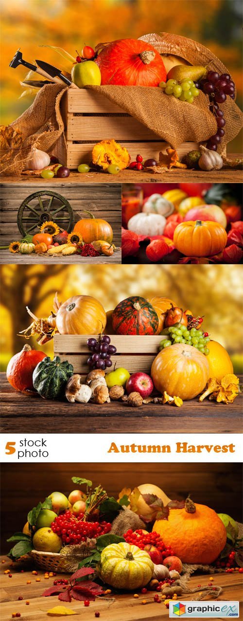 Photos - Autumn Harvest