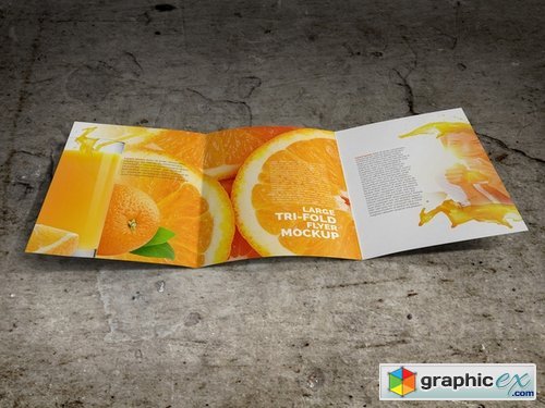 Large Trifold Brochure Mockup