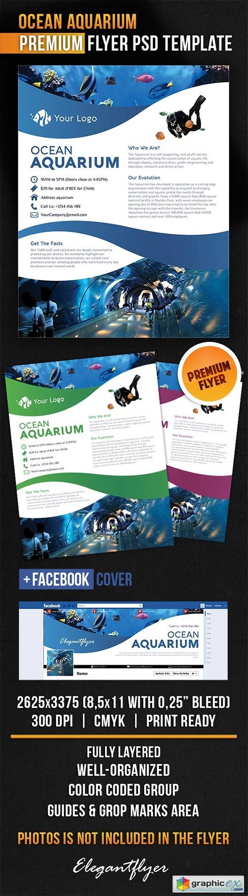 Ocean Aquarium Flyer PSD Template + Facebook Cover