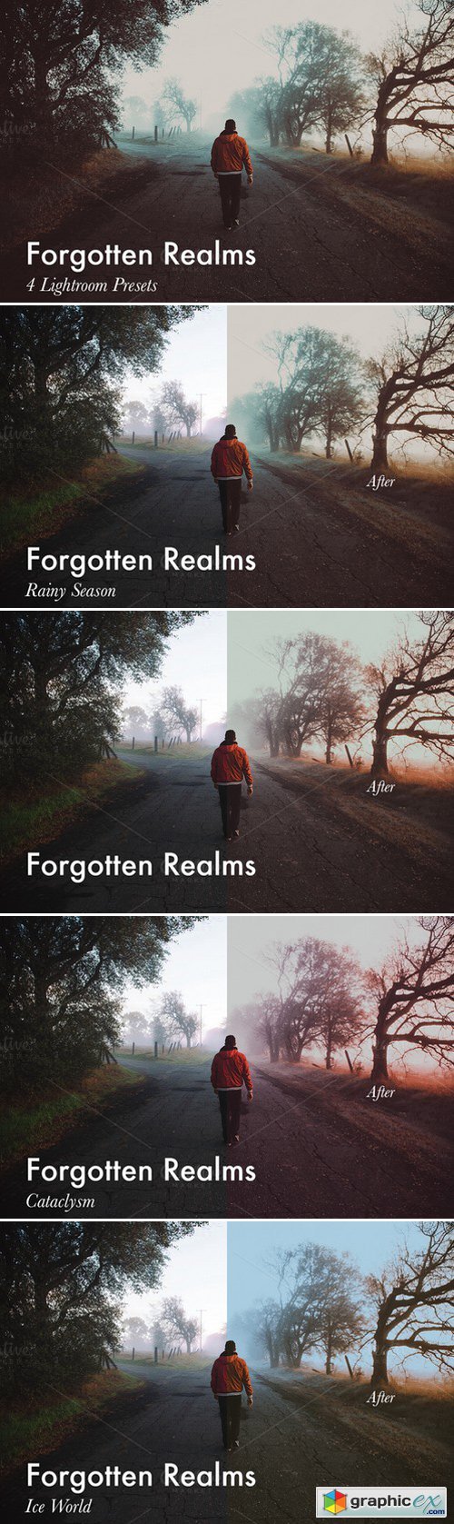 Forgotten Realms-4 Lightroom Presets