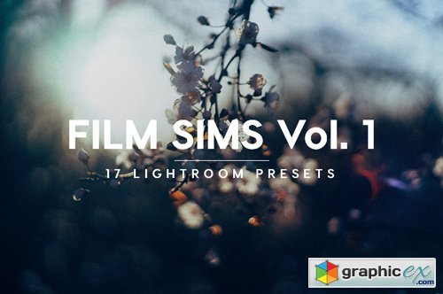 Film Sims Volume 1 Lightroom Presets