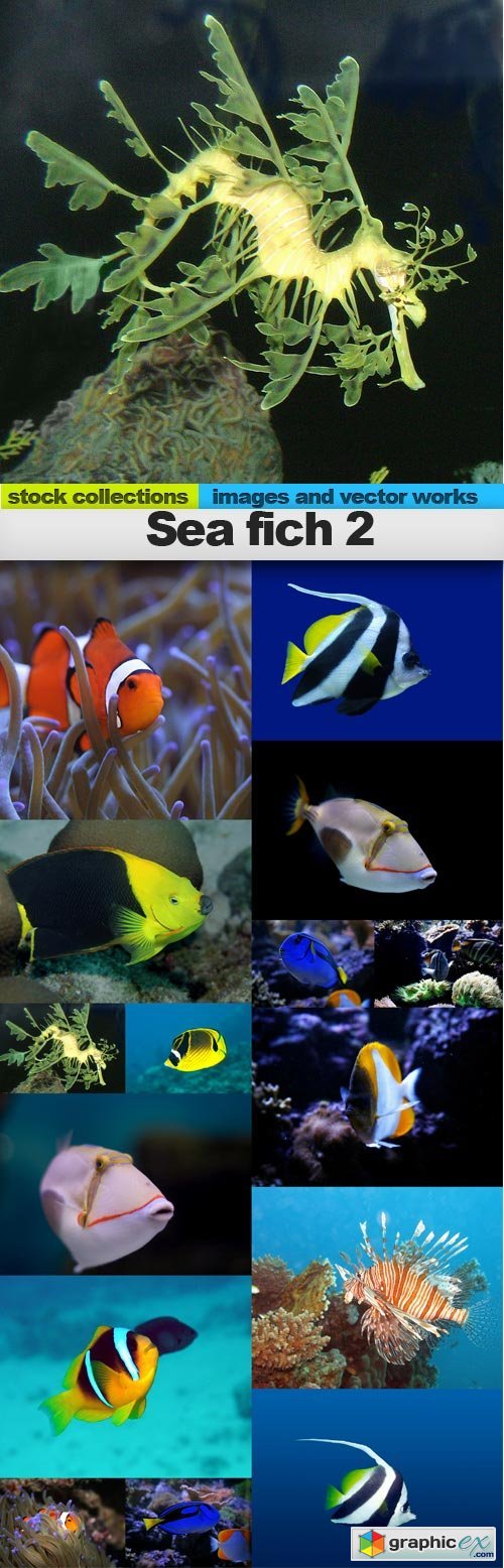  Sea fish 2, 15 x UHQ JPEG 
