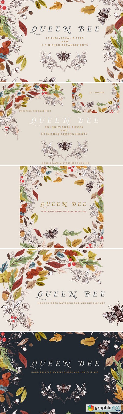 Watercolour Clip Art - Queen Bee