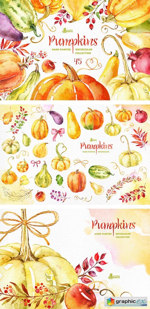 Pumpkins. Watercolor Collection