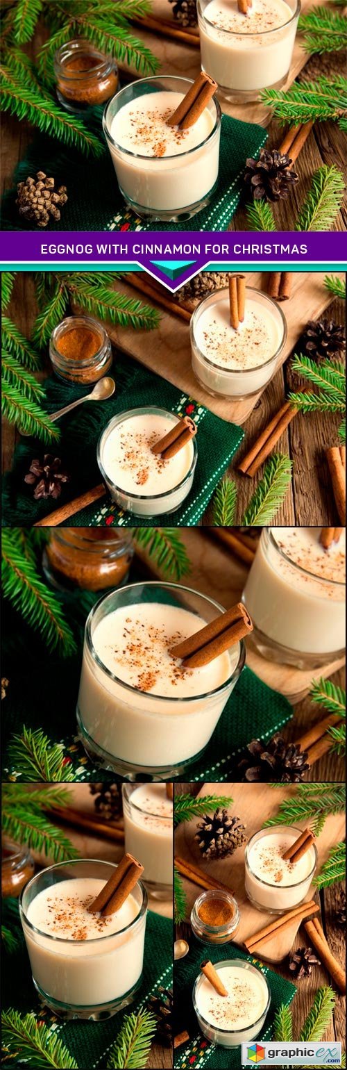 Eggnog with cinnamon for Christmas and winter holidays 5x JPEG
