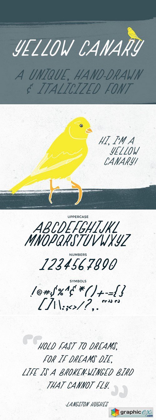 Yellow Canary Font 419961