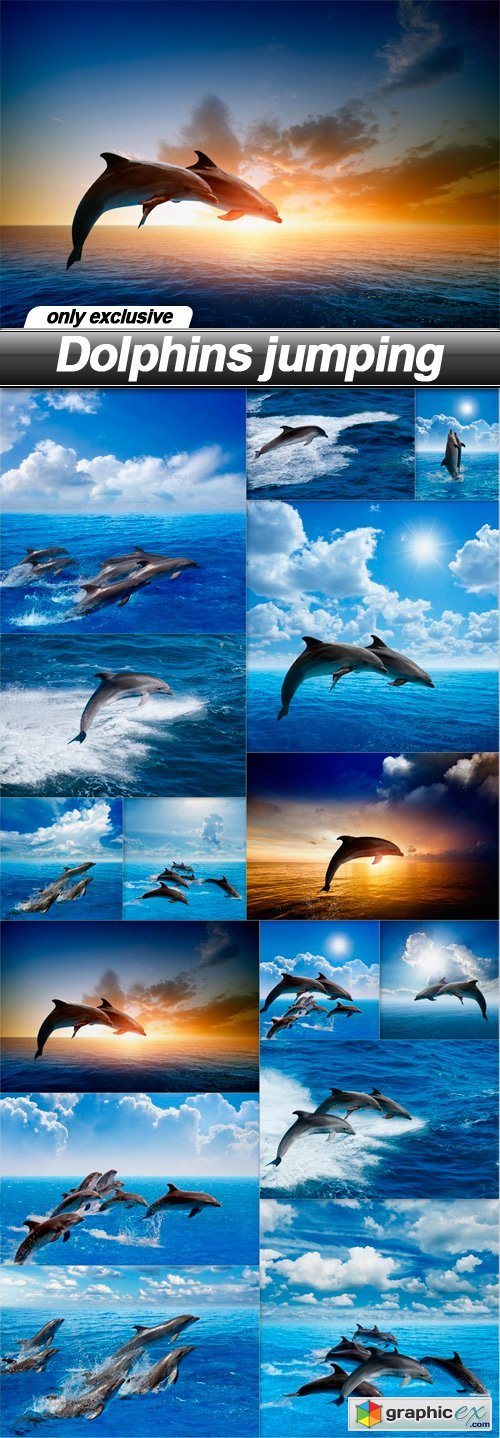 Dolphins jumping - 15 UHQ JPEG