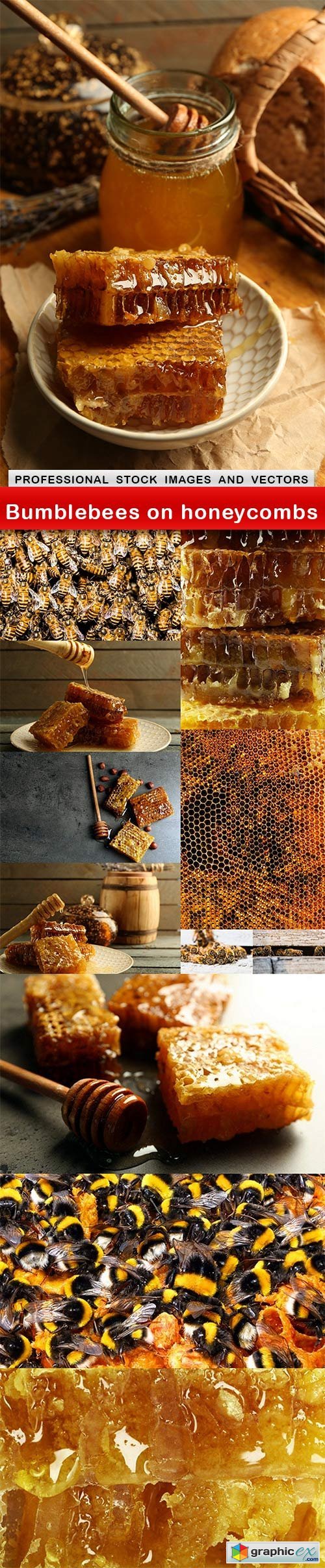 Bumblebees on honeycombs - 12 UHQ JPEG